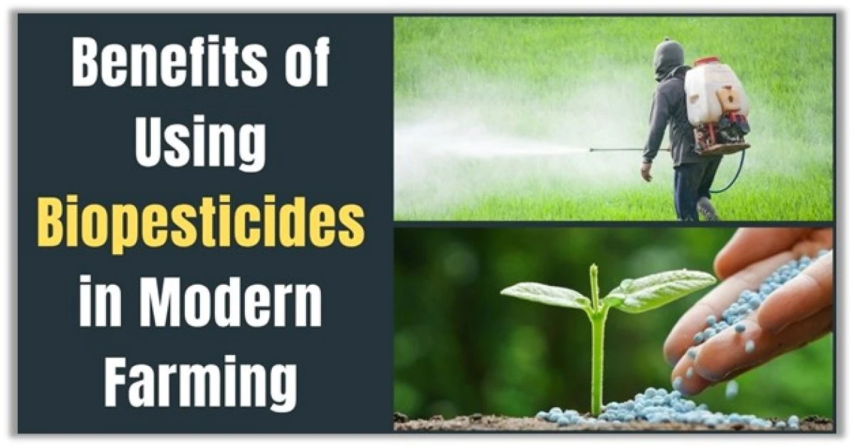 Top 10 Benefits of Using Biopesticides in Modern Farming